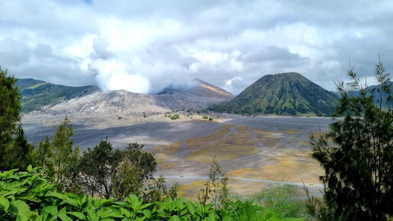 Dannu'S Homestay Ijen And Bromo Tour Banyuwangi  Exteriér fotografie