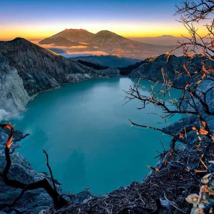 Dannu'S Homestay Ijen And Bromo Tour Banyuwangi  Exteriér fotografie